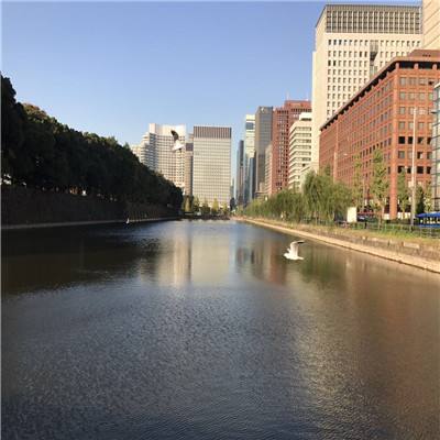 管家婆期期四肖四码中特管家手机app下载