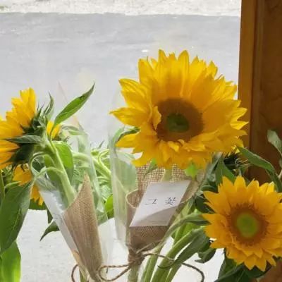 皇冠体育手机版截图